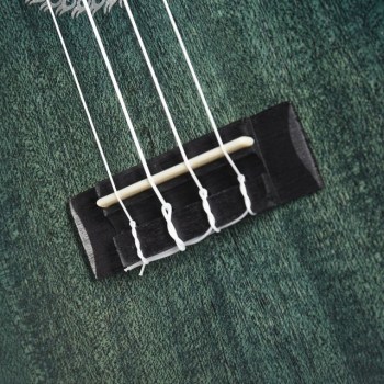 Fame Deluxe Concert Ukulele Green купить