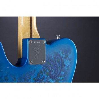 Fender Bigsby Tele MN Blue Paisley Closet Cassic Master Built купить