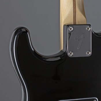 Fender Limited Edition Player Stratocaster MN Double Black купить