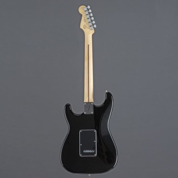 Fender Limited Edition Player Stratocaster MN Double Black купить