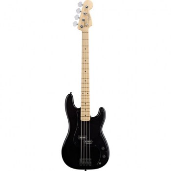 Fender Roger Waters Precision Bass купить