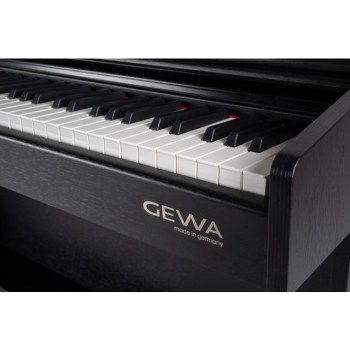 Gewa DP 300 BK Black matte купить