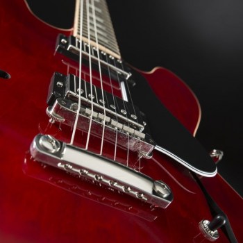 Gibson ES-335 DR-44WL Combo #12176742 купить