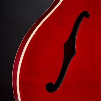 Gibson ES-335 Figured Cherry #13505746 купить