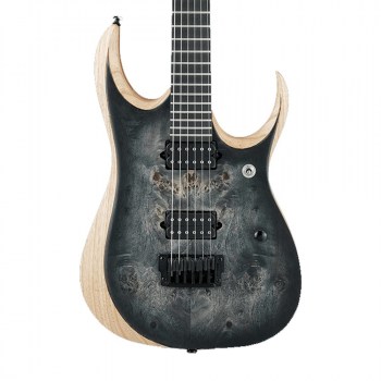 Ibanez RGDIX6PB-SKB Iron Label купить