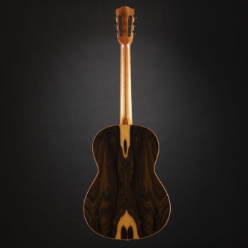 Höfner HA-CS28 Acoustic Classic Steel купить