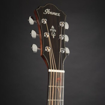 Ibanez AE325 LGS купить