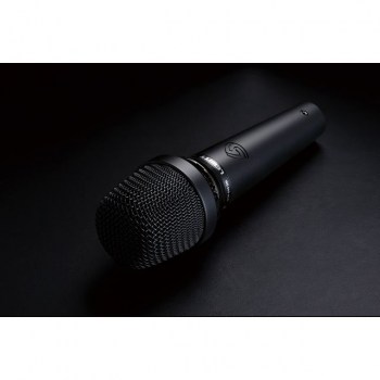 Lewitt MTP 540 DMs Dynamic Microphone Cardioid, Switch купить