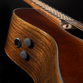 Martin Guitars GPCPA 1 Ambertone купить