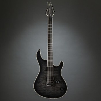 Mayones Regius 6 Graphite Burst купить