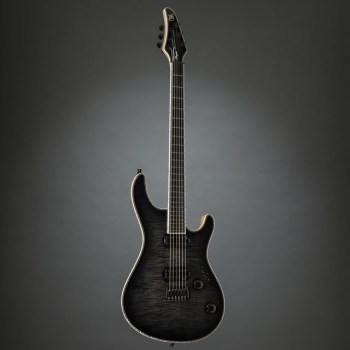 Mayones Regius 6 Graphite Burst купить