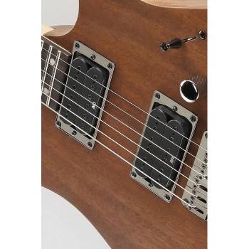 Ibanez RG421-MOL купить