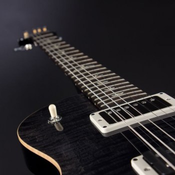 Paul Reed Smith Tremonti Grey Black купить