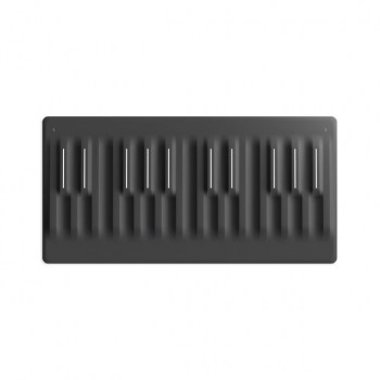 Roli Seaboard Block купить