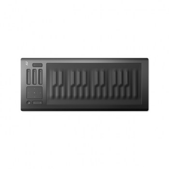 Roli Seaboard Rise 25 купить