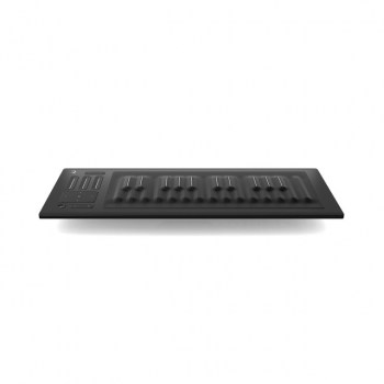 Roli Seaboard Rise 25 купить