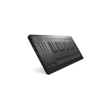 Roli Seaboard Rise 25 купить