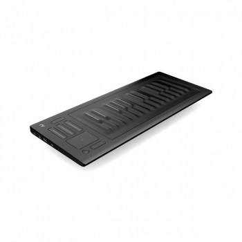 Roli Seaboard Rise 25 купить