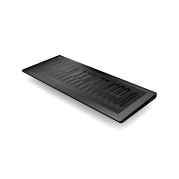 Roli Seaboard Rise 25 купить