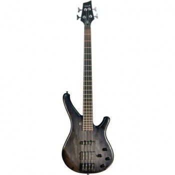 Sandberg Classic TM 4 BKBS Blackburst Satin купить