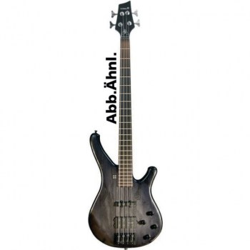 Sandberg Classic TM 5 BKBS Blackburst Satin купить