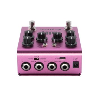 Strymon DIG V2 Dual Digital Delay купить