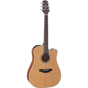 Takamine GD20CE NS Natural Satin купить