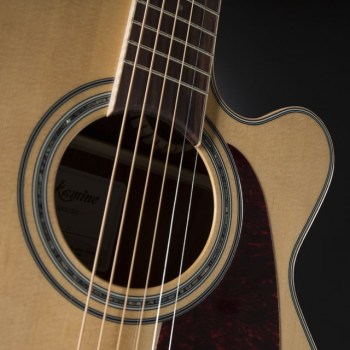 Takamine GN90CE-ZC Natural купить