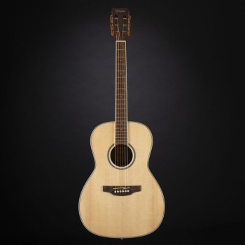 Takamine GY51E N купить