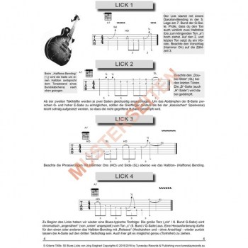 Tunesday E-Gitarre TABs: 50 Blues Licks Buch und MP3 Download купить