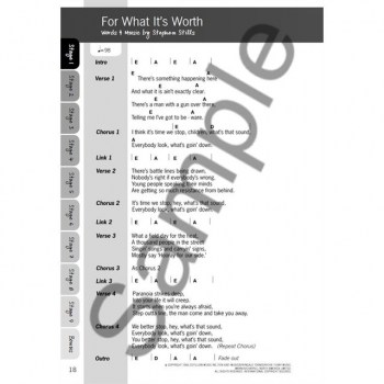 Wise Publications Justinguitar.com Beginner's Songbook Volume 2 купить