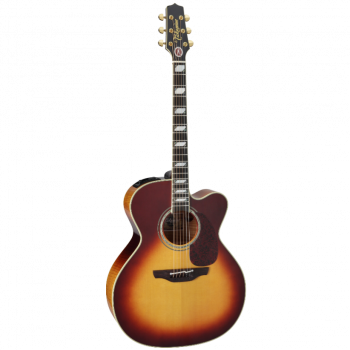 Takamine ARTIST EF250TK TOBY KEITH Signature купить