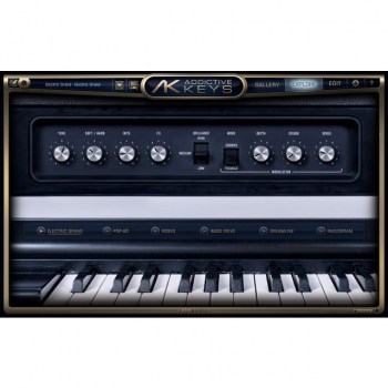 XLN Audio Addictive Keys Duo Bundle купить