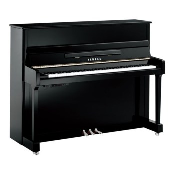 Yamaha P116 SH2 PEC купить