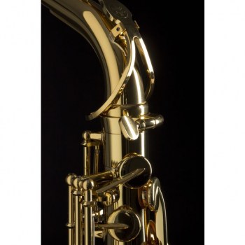 Yamaha YAS-280 Eb-Alto Saxophone Gold Lacquer купить