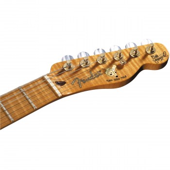 Fender Custom Shop Merle Haggard Signature Telecaster, Maple Fingerboard, 2-Color Sunburst купить