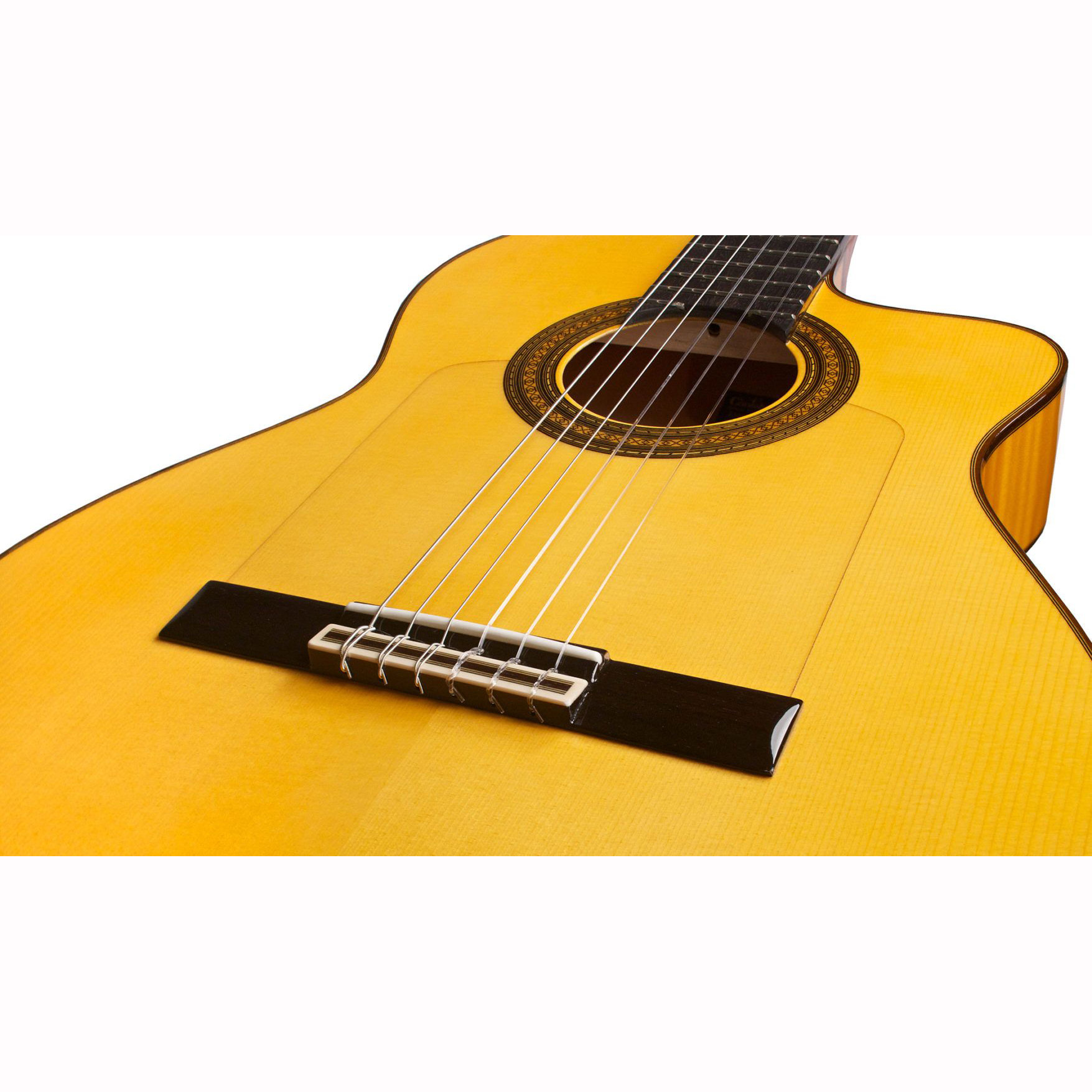 Honey amber. Корпус гитары классической. Amber Cordoba. Cordoba 14x28. Cordoba Guitars Branding Card.