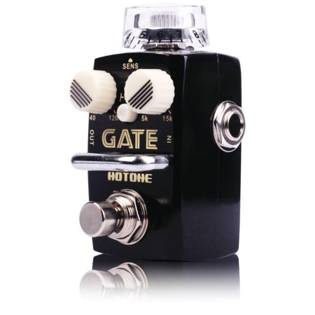 Hotone Gate Noise Reduction купить.