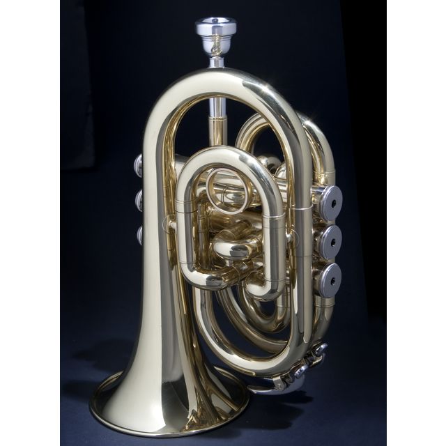 Купить Monzani MZMT-500L Bb-Pocket Trumpet Brass, Lacquered цена