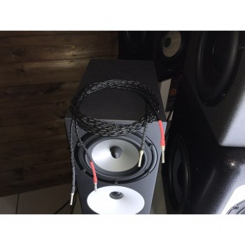 Amphion Speaker cable 2,5 m купить