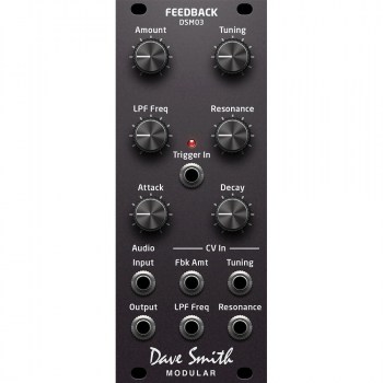 Dave Smith Instruments DSM03 Feedback Module купить