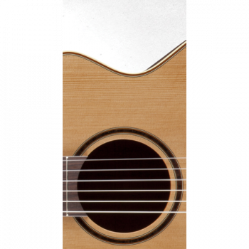 Takamine PRO SERIES 3 P3FCN купить