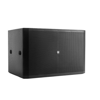 Echo Acoustic EA218SP купить