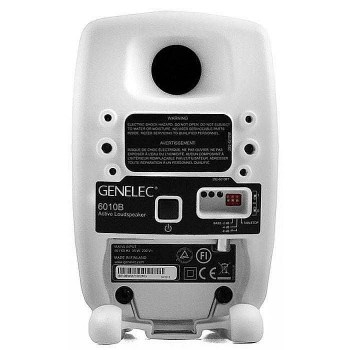 Genelec 6010bwm купить