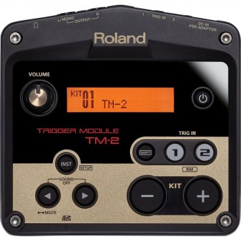 Roland Tm-2 купить