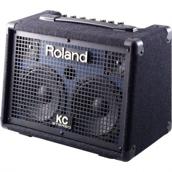 Roland Kc-110 купить