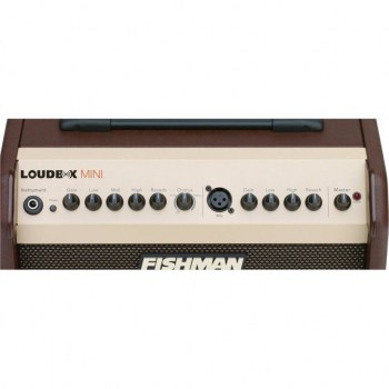 Fishman Loudbox Mini купить