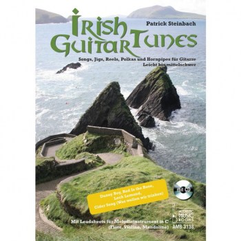 Acoustic Music Books Irish Guitar Tunes Patrick Steinbach TAB купить