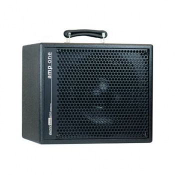 AER Bottom Line Amp One Combo 200W, 1x10" Speaker купить