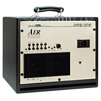 AER Bottom Line Amp One Combo 200W, 1x10" Speaker купить